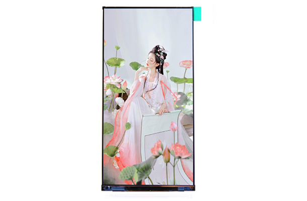 電阻觸摸顯示屏的工作原理、優(yōu)勢(shì)特點(diǎn)、應(yīng)用領(lǐng)域和未來(lái)發(fā)展趨勢(shì)